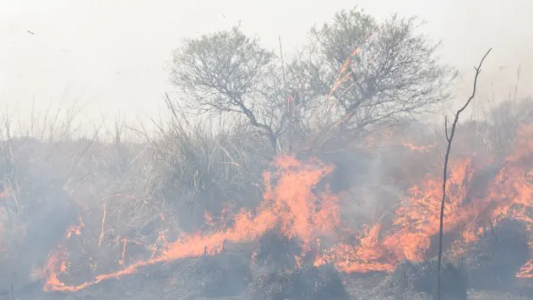La batalla legal por las quemas en las islas ya suma más de diez causas