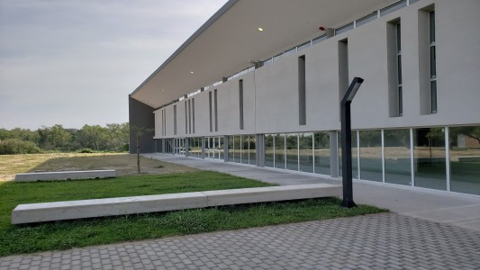 Estudiantes avanzados de Medicina piden retomar las prácticas para recibirse