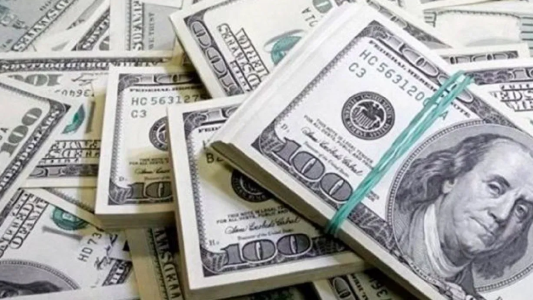 Récord de compra de dólar ahorro en julio: 3,9 millones de personas usaron su cupo mensual