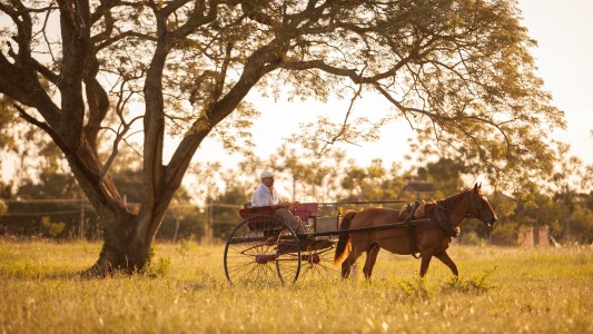 La provincia apoya a la sanción de la Ley de sostenimiento y reactivación del turismo