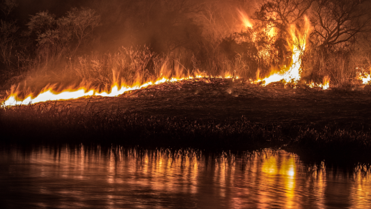 La UNL y Nación trabajarán juntos en la conservación del Delta del Paraná
