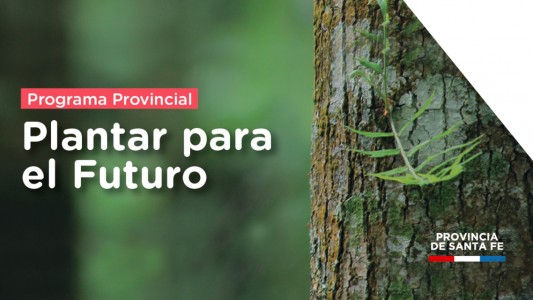 Organizaciones de la sociedad civil pueden sumarse al plan de forestación
