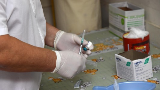 Advertencia importante: durante la pandemia la vacunación no se interrumpe