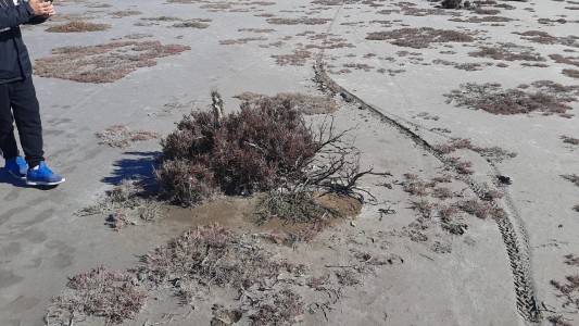 Inspeccionaron el lugar donde se halló la mochila que sería de Facundo Castro