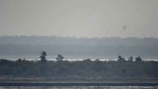 Advierten nuevos de focos de incendios y presencia de humo en el aire en Rosario