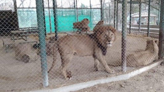 El gobierno nacional clausuró el Zoológico de Luján