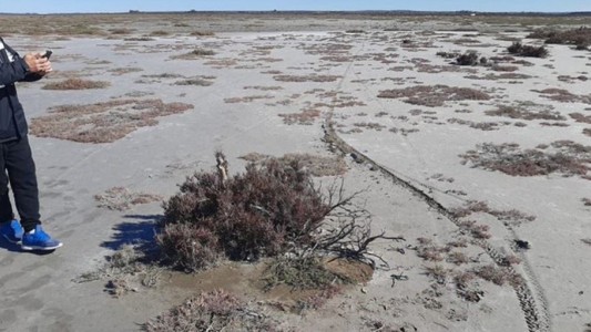 Caso Facundo Castro: para la querella la mochila "fue plantada" en ese lugar