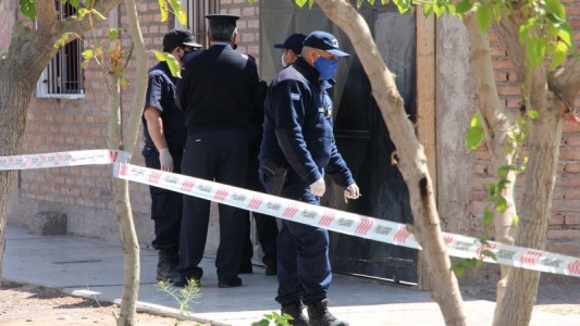 Atroz: un pitbull mató a una nena de 9 años en San Juan