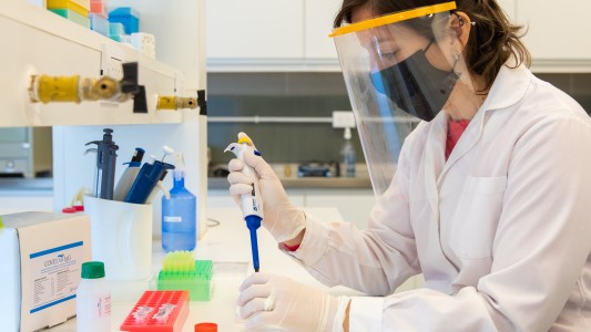 Al servicio de la comunidad: estudian en la UNL anticuerpos contra el COVID-19