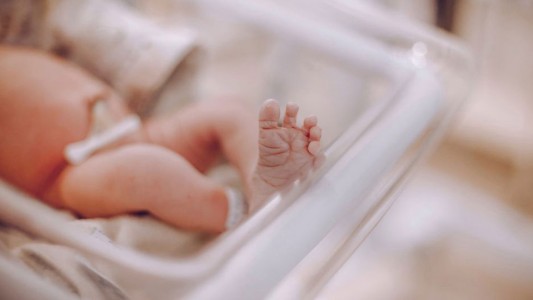 Video conmovedor: un bebé prematuro fue dado por muerte y "resucitó" en el pecho de su madre