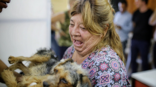 La Municipalidad realiza castraciones en Las Flores