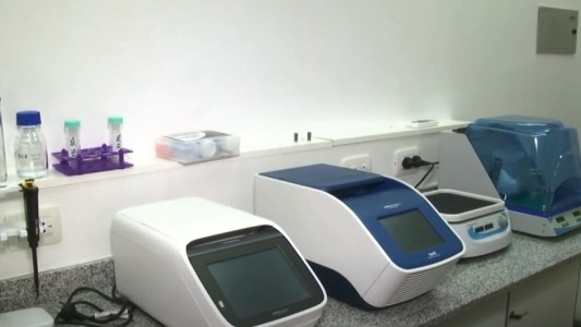 Investigadores rosarinos desarrollan un kit para detectar Covid-19