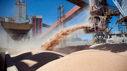 El Gobierno analiza bajar temporalmente las retenciones al campo