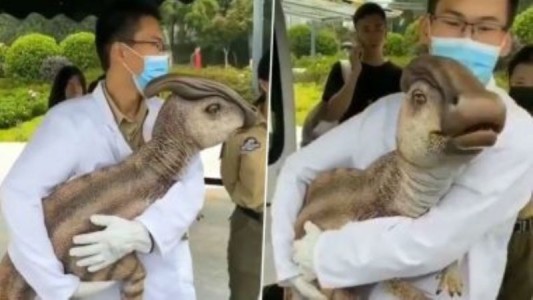 La verdad detrás del video del "dinosaurio" en brazos de un científico