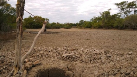 Sequía en Chaco: advierten que no hay pronósticos de cambio de las condiciones climáticas hasta fin de año