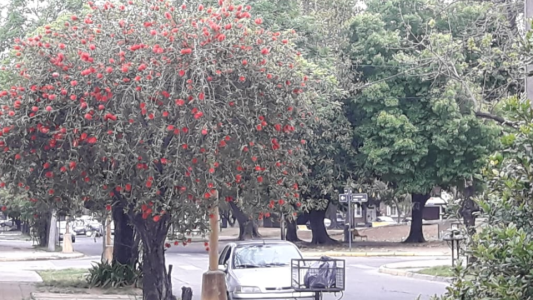 Se espera una jornada con buen tiempo y ascenso de la temperatura para este martes