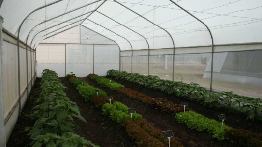 La localidad santafesina Paraje 29 ganó el concurso Pueblos Emprendedores