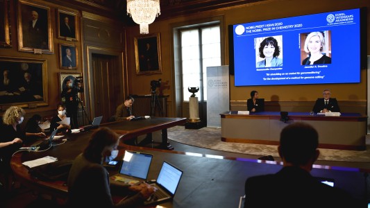 Otorgan el Nobel de Química a dos científicas por sus trabajos en edición genética