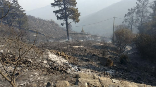 No quedan focos activos en Córdoba aunque persisten varios puntos calientes