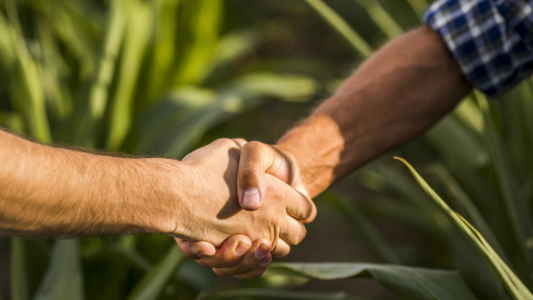 Inscriben  a convocatorias para promover la innovación en cooperativas y asociaciones civiles a través de la ciencia y la tecnología