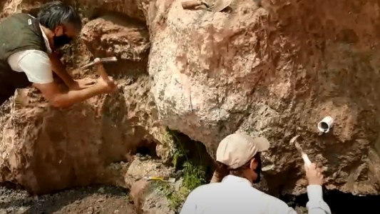 Puerto Gaboto: hallaron restos fósiles de varios animales prehistóricos