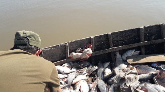 Villa Cañás: desbaratan una red de pesca ilegal por un audio de whatsapp