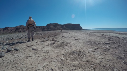 Impresionante hallazgo en Neuquén: Prefectura encontró huellas de dinosaurio
