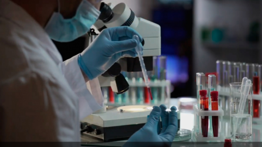 Santa Fe y la UNESCO trabajan para fortalecer las políticas que promuevan la ciencia y la tecnología