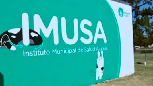 Cómo actuar frente a una situación de maltrato animal