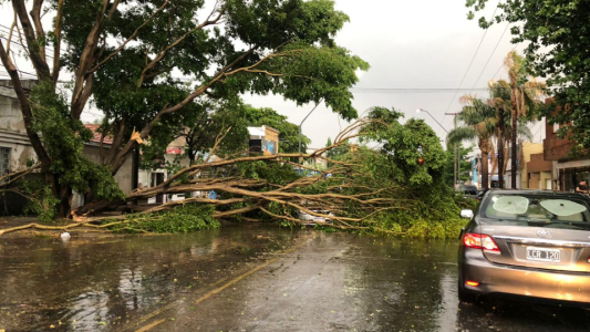 La tormenta generó destrozos en Santa Fe