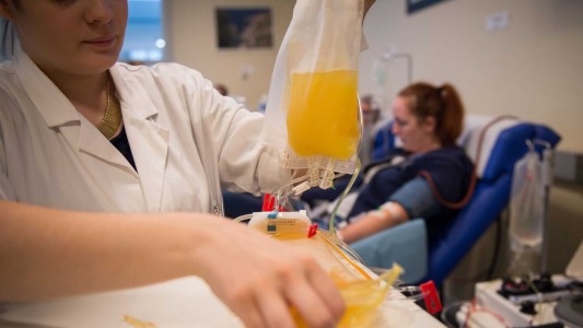 Nuevo estudio oficial revela que uso de plasma reduce 24% la mortalidad por coronavirus