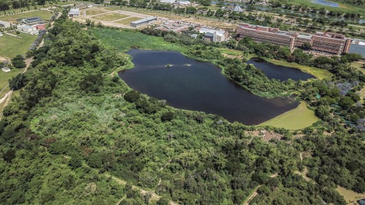 Preocupa la construcción de una escuela en plena Reserva Ecológica de la UNL