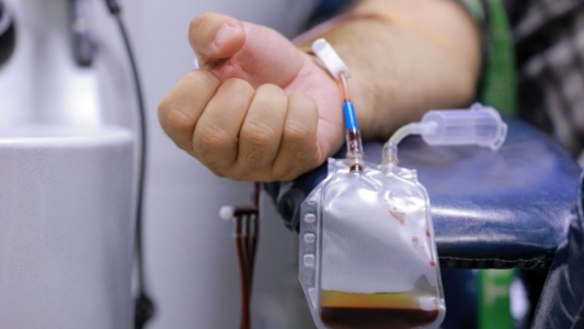 Coronavirus: tres de cada diez pacientes que donan plasma no tienen anticuerpos