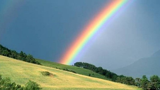 Video: el momento en que una familia llega hasta el final de un arcoíris