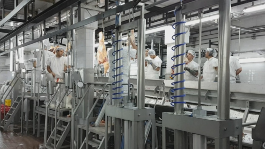 La Provincia participó de una misión virtual con México para promover la maquinaria para la industria láctea santafesina