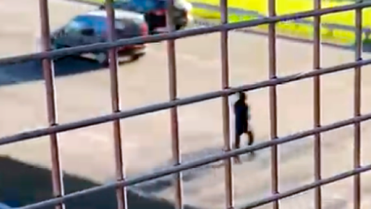 Video: un hombre intentó cruzar General Paz caminando y fue atropellado por una camioneta