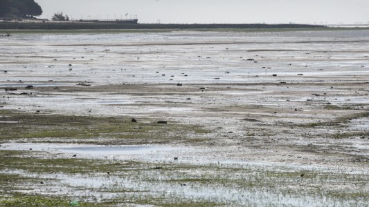La Municipalidad recuerda que no se puede transitar la Laguna Setúbal