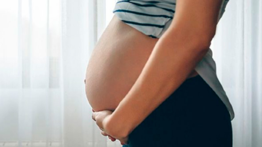 Programa de los Mil Días: Claves del plan para proteger los vínculos tempranos