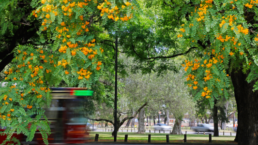 ¿Por qué lloran con "lágrimas dulces" las tipas de Buenos Aires?