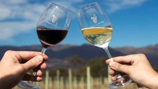 Día del vino con una suba de los despachos al mercado interno y 8 meses de crecimiento