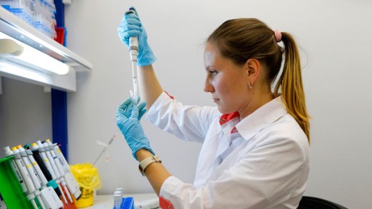 Realizarán un "llamamiento de voluntarios" para la campaña de vacunación contra el Covid - 19