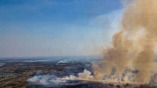 Humedales: debate y aportes en torno a los proyectos de ley
