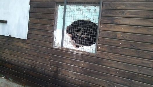 Otro golpe al club Villa Dora