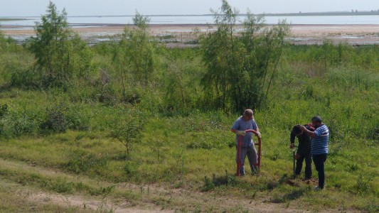 La Municipalidad delimita bosques nativos a la vera de la laguna Setúbal