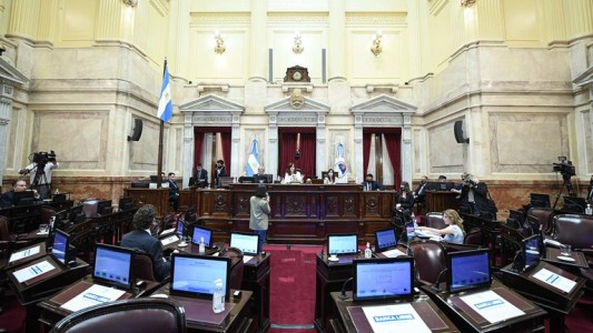 El Senado convirtió en Ley el Aporte Extraordinario a las Grandes Fortunas