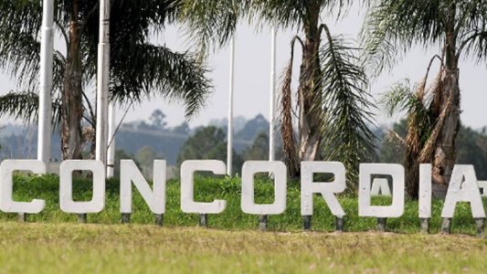 Concordia: Murió una niña que cayó de la ventanilla de un auto