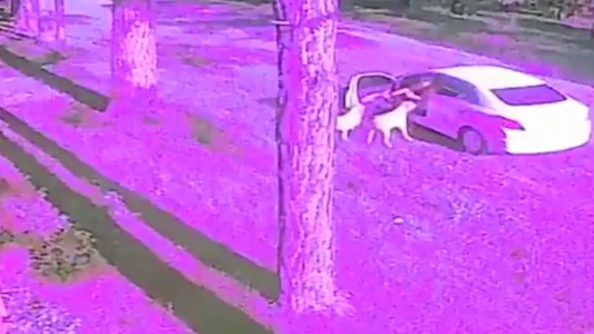 Funes: quedó escrachado por las cámaras cuando abandonaba a sus perros y escapaba en auto