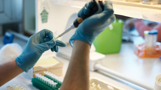 El Ministerio de Salud de la Nación retomará el sábado la difusión del reporte vespertino