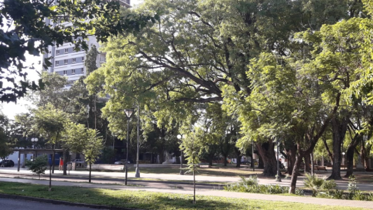 La última semana del año empieza con jornadas agobiantes en la ciudad