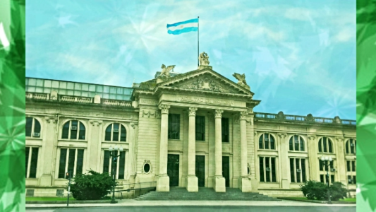 Cannabis: la UNR suma un curso de posgrado para profesionales